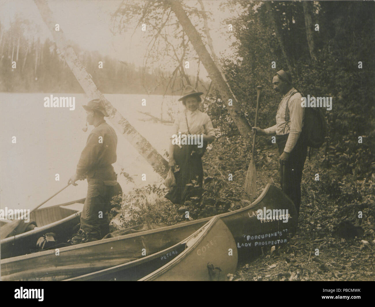 1212 Porcupine's lady prospecteur (HS85-10-24373) Banque D'Images