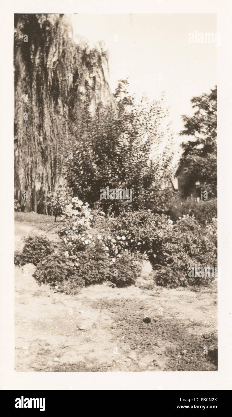 Port 1212 Richmond Branch Library (NYPL)11524053-1253044 b Banque D'Images