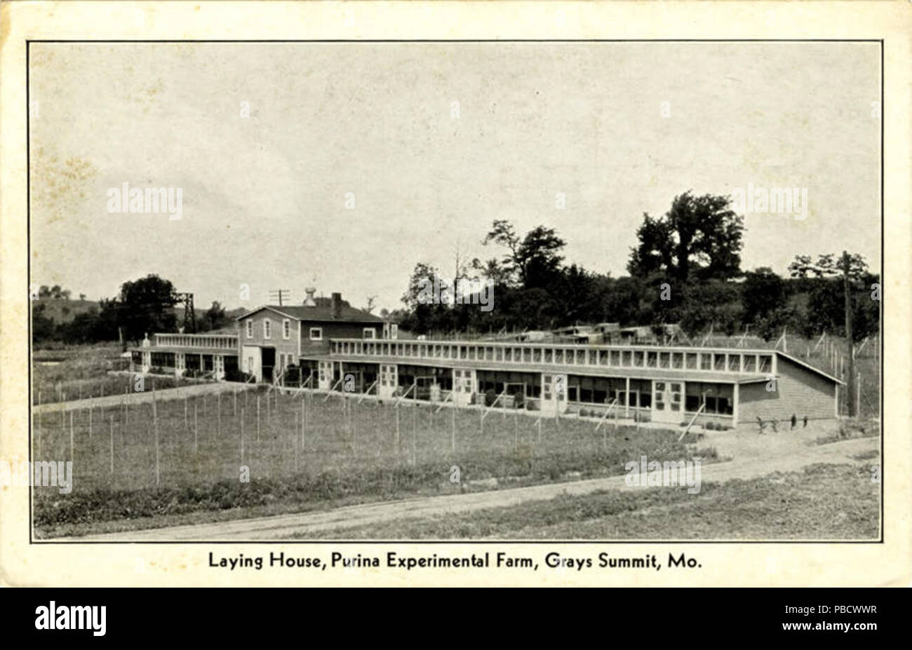 Ferme expérimentale de Purina 1237 (NPAR) 435946 Banque D'Images