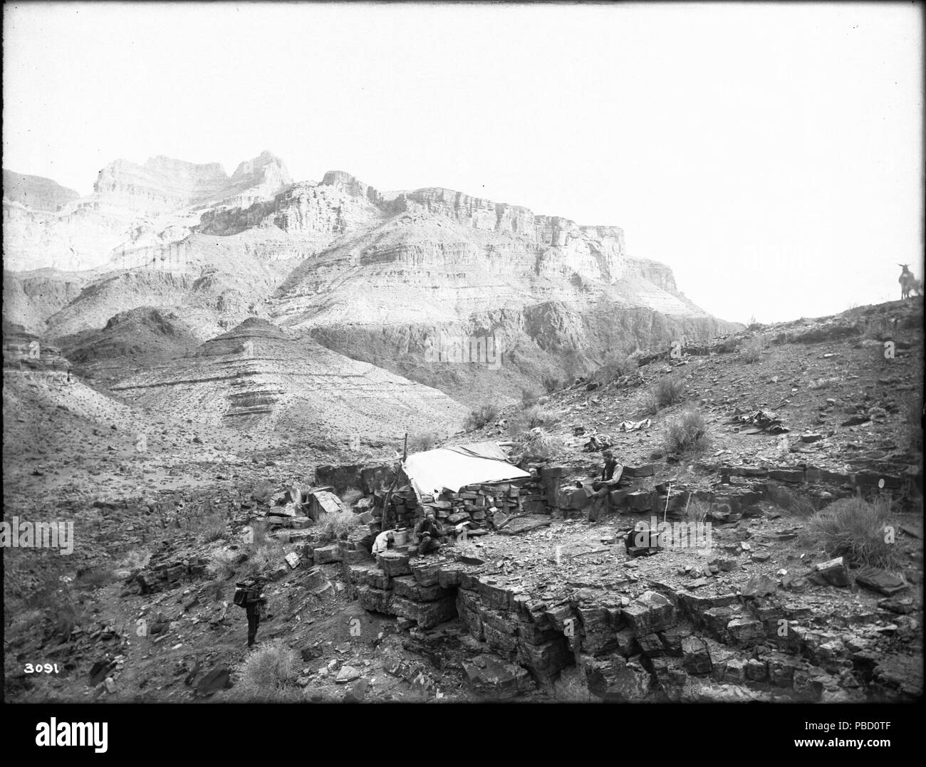 1262 River Camp à la basse Trail, Grand Canyon, ca.1900-1930 (SHC-3091) Banque D'Images