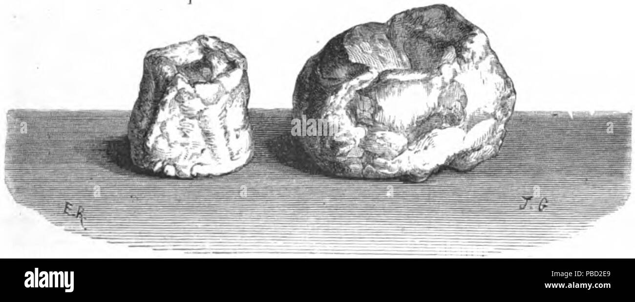 1269 Ronjat - Le Livre de pâtisserie, fig. 14 Banque D'Images