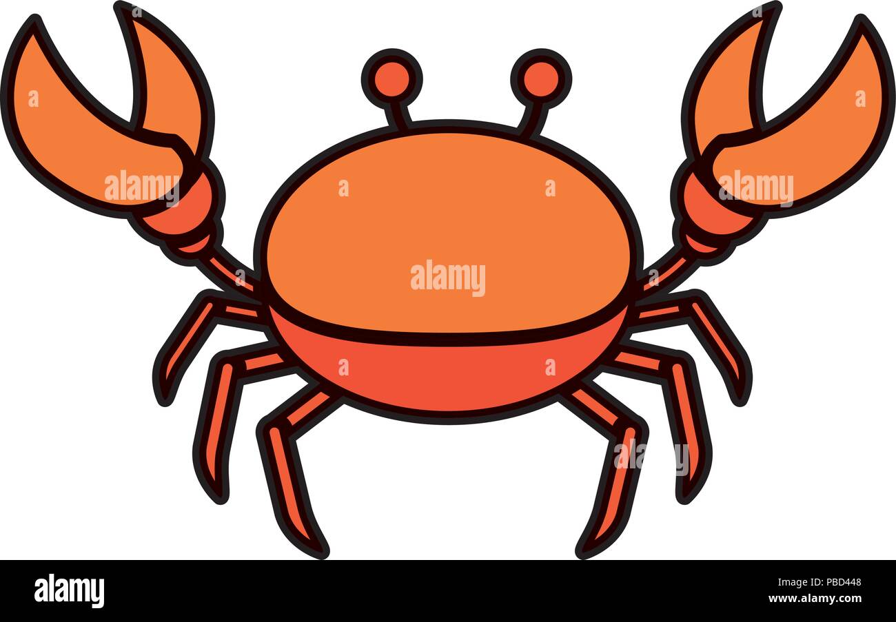 Belle couleur tropical animal mer crabe Illustration de Vecteur