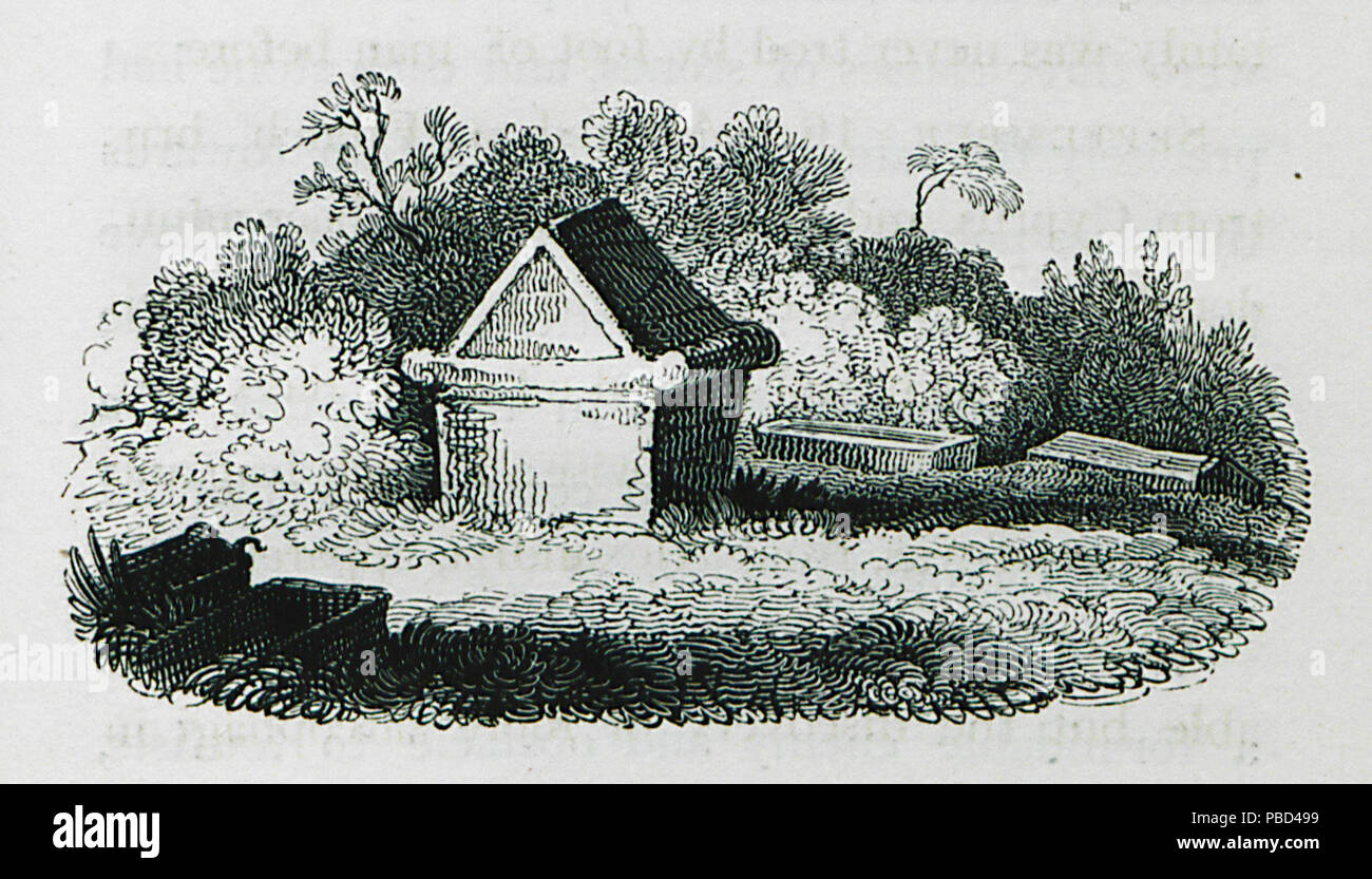 1291 sarcophage, peut-être de l'époque romaine, dans la région de Deir el Kalaa, près de Beyrouth - Charles Colville - 1829 Frankland Banque D'Images
