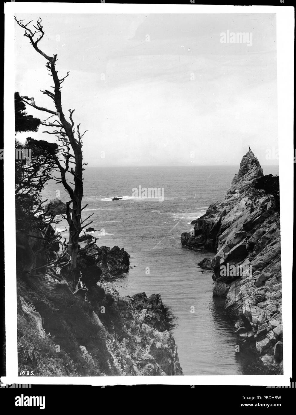 . Anglais : vue panoramique de Cypress Point à Pacific Grove, Monterey, ca.1900 Photo d'une vue panoramique de Cypress Point à Pacific Grove, Monterey, ca.1900. Un scraggley s'accroche à l'arbre de la falaise à gauche. Une personne est debout sur le point dans la distance. Briser les vagues sur un affleurement rocheux dans l'océan plus loin. Numéro d'appel : SHC-1685 Nom du fichier : COUVERTURE DU SHC-1685 Date : vers 1900 Partie de Collection : Collection de la Société historique de Californie, 1860-1960 Format : négatifs sur plaque de verre Type : objet géographique des images (ville ou lieu habité) : Pacific Grove ; nom de dépôt : Monterey Banque D'Images