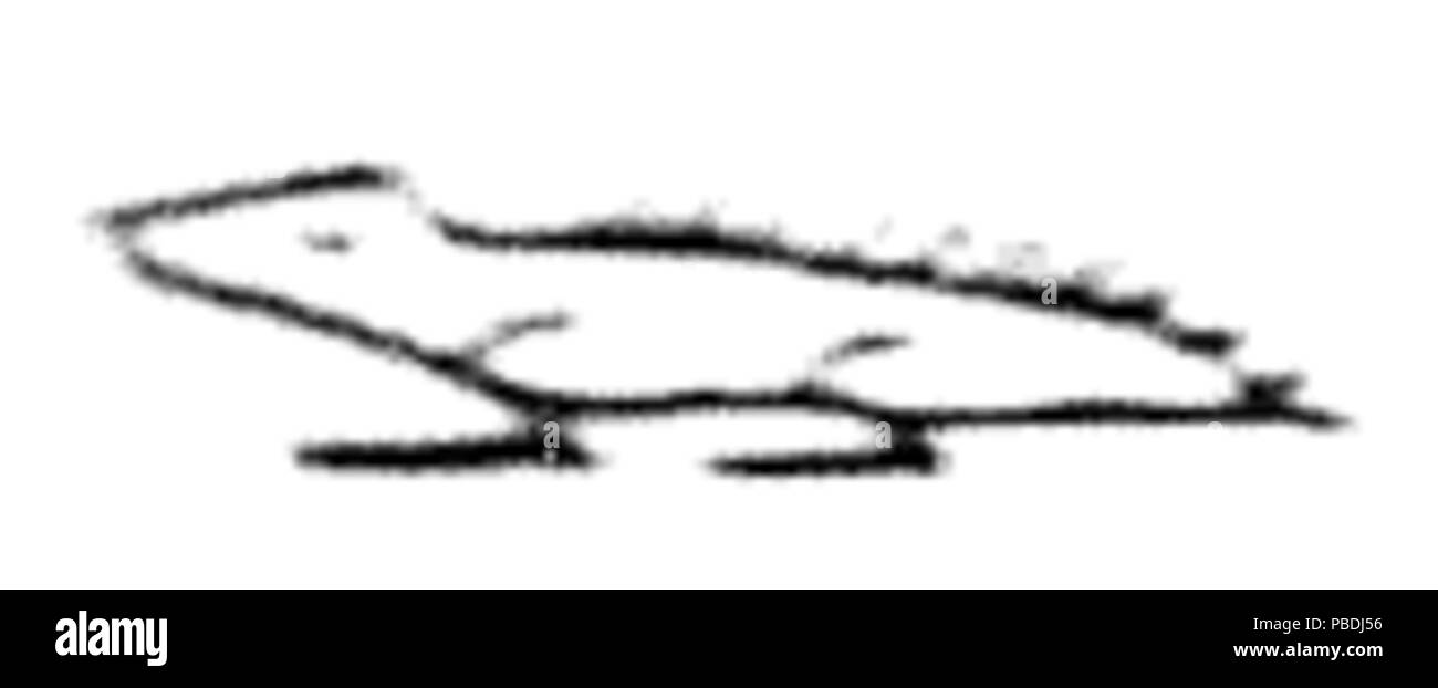 1303 Sebek Banque D'Images