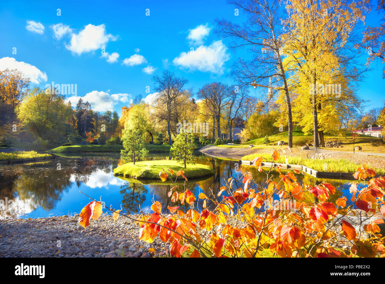 Beau paysage avec jardin japonais de pierres et étang dans le parc Kadriorg à automne doré. Tallinn, Estonie Banque D'Images