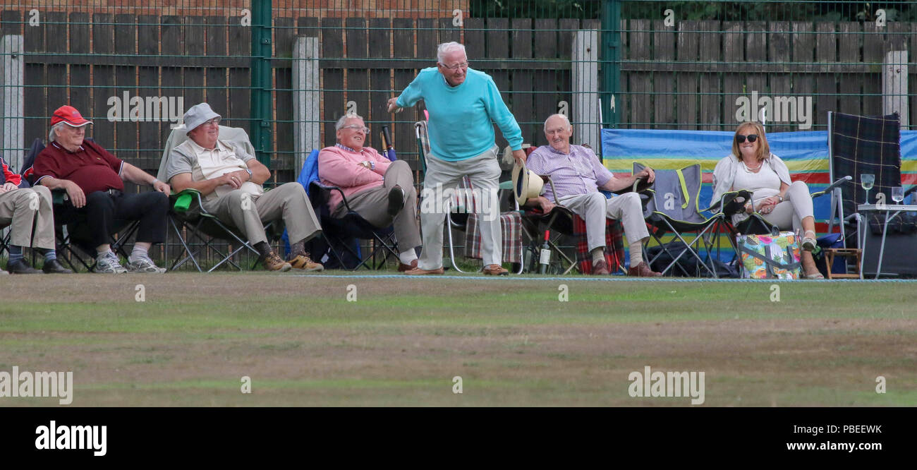 L'Irlande du Nord, Royaume-Uni. 27 juillet 2018. Le Livre vert, Comber, County Down. 27 juillet 2018. Finale de Coupe Waringstown Gallagher v CSIN. Un spectateur renvoie la balle après l'autre à la frontière verte. Crédit David Hunter/Alamy Live News. Banque D'Images
