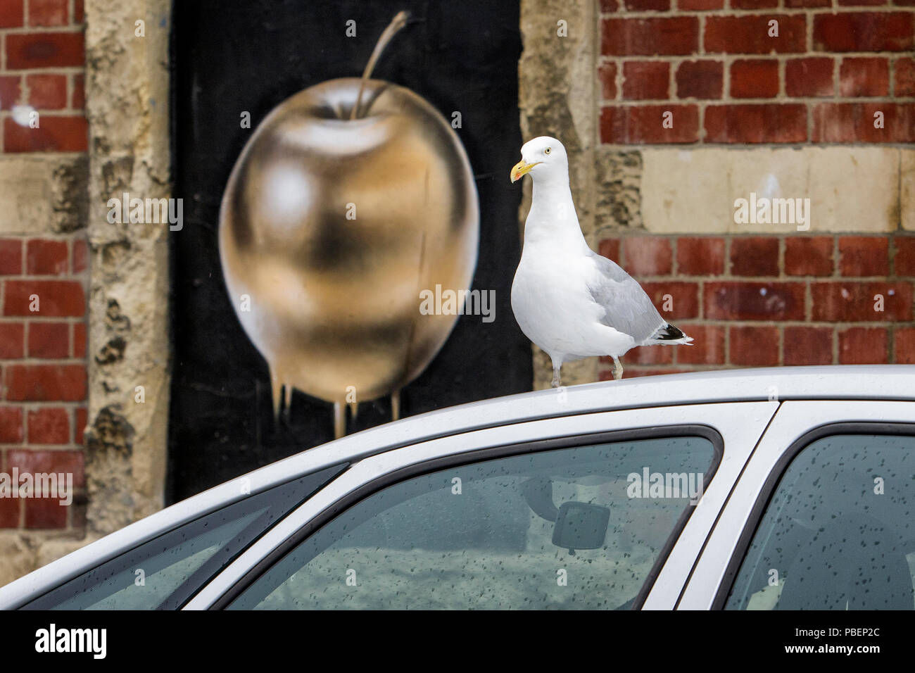 Bristol, Royaume-Uni. 28 juillet, 2018. Une mouette est illustrée comme il se tient sur un toit de voiture en face d'une pomme d'or l'art créés pour le festival Upfest à North Street à Bedminster. Upfest qui se déroule sur trois jours est le plus important d'Europe gratuitement, street art & graffiti festival et est maintenant dans sa dixième année. Credit : Lynchpics/Alamy Live News Banque D'Images