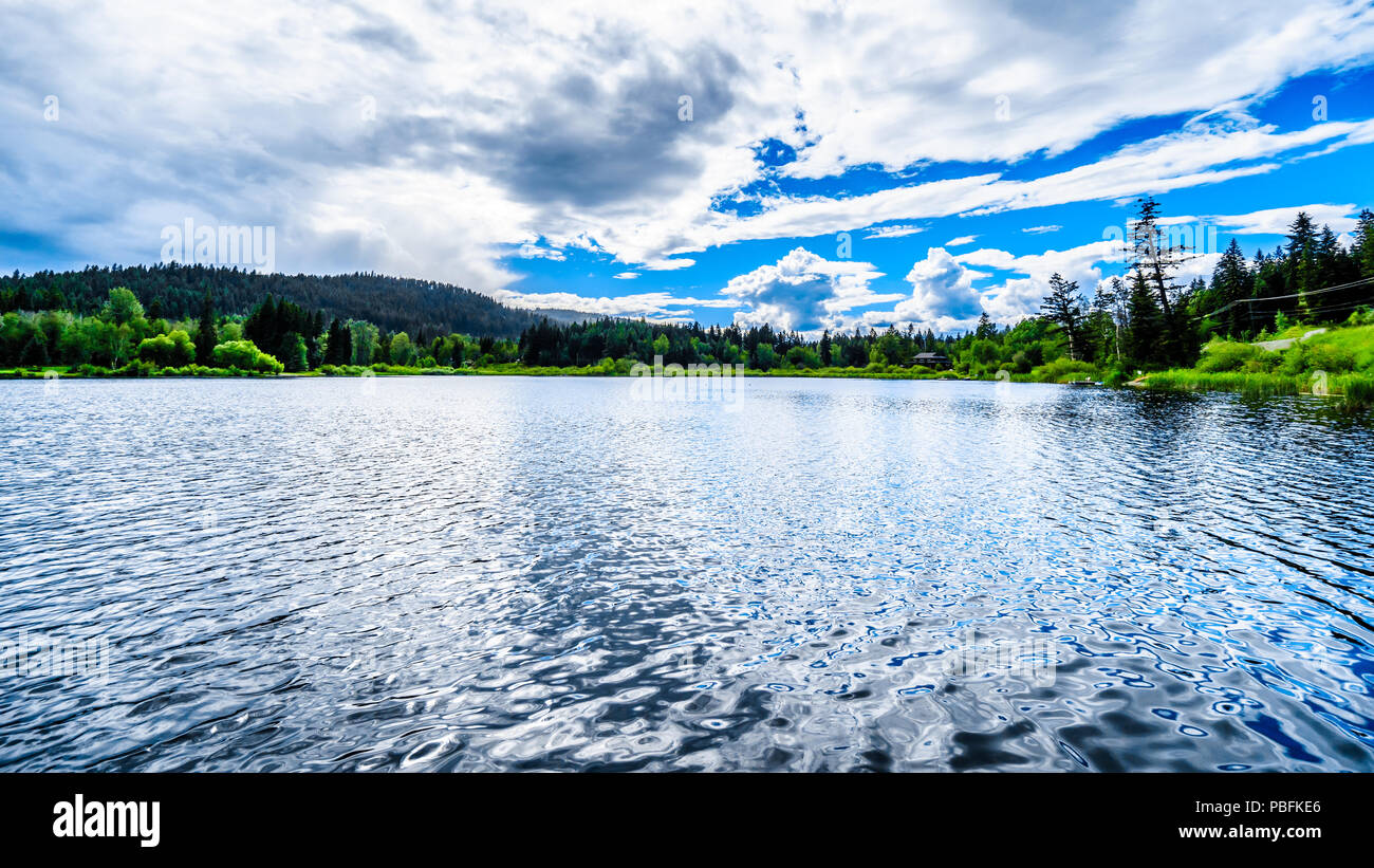 Petit Lac Heffley, un petit lac de pêche à l'Heffley-Sun Peaks Road dans la région de Shuswap de la Okanagen en Colombie-Britannique, Canada Banque D'Images