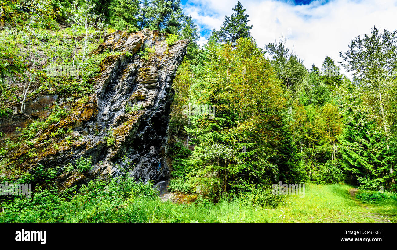 Rock géologiques intéressants le long du sentier de randonnée de Whitecroft Falls près de Sun Peaks dans la région de Shuswap de la Okanagen en C.-B. Canada Banque D'Images