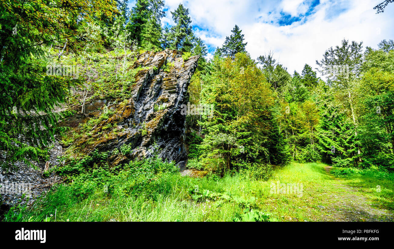 Rock géologiques intéressants le long du sentier de randonnée de Whitecroft Falls près de Sun Peaks dans la région de Shuswap de la Okanagen en C.-B. Canada Banque D'Images