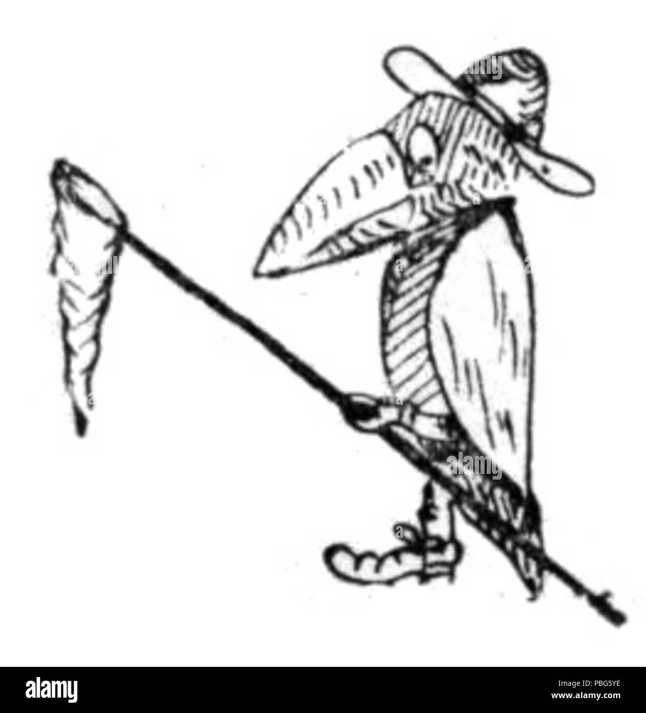 Guide pour les oiseaux 1573 Stebbins 01b Banque D'Images