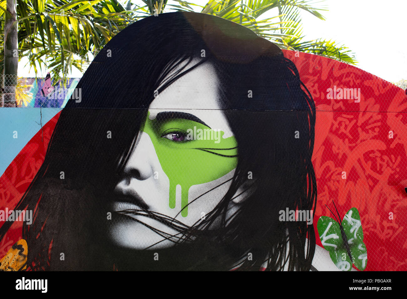 Art et Graffiti dans murs Wynwood Miami Banque D'Images