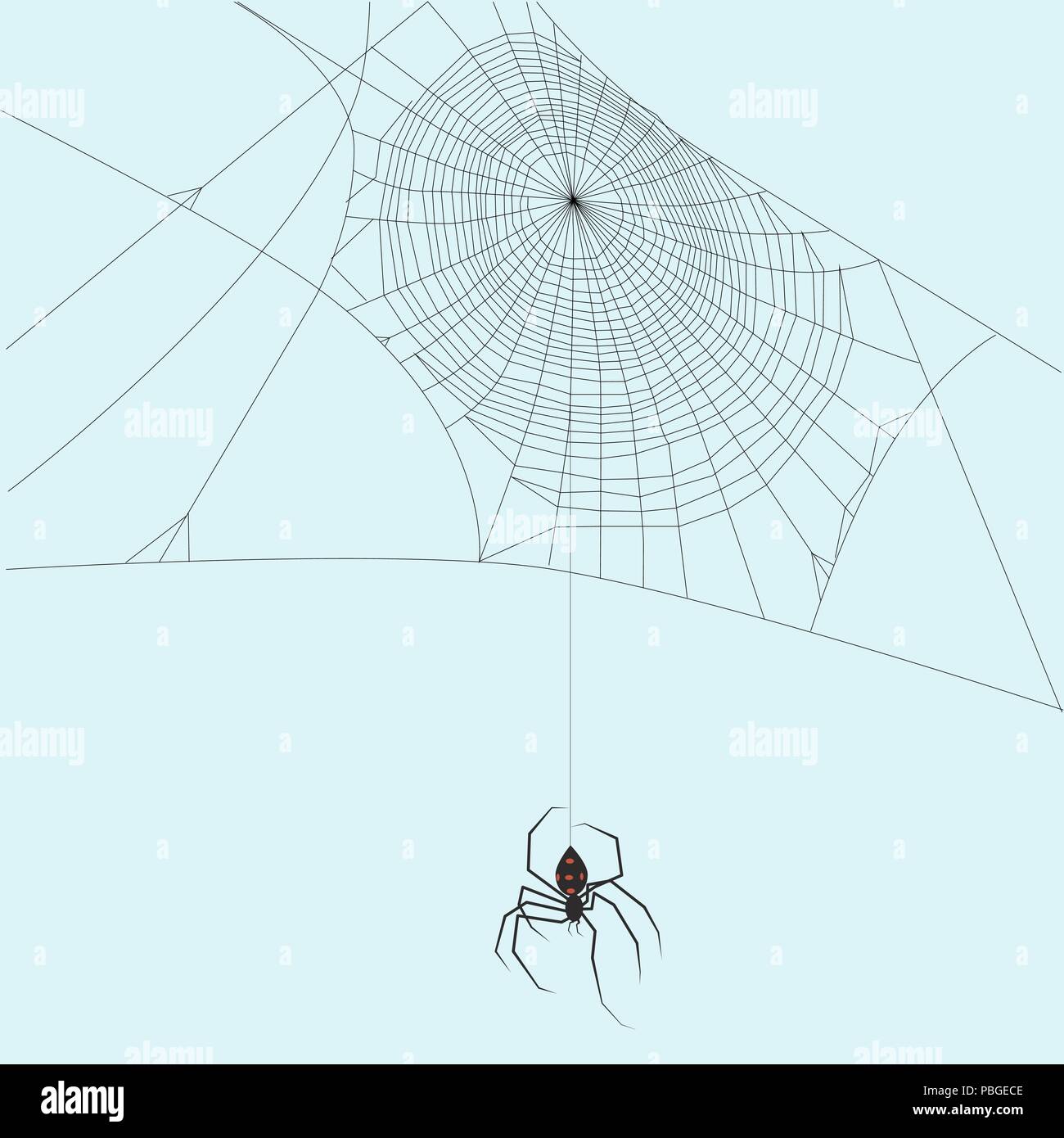 L'un Black widdow avec taches rouges sur l'abdomen venant d'une ligne vers le bas du site web à partir de son nid web Illustration de Vecteur