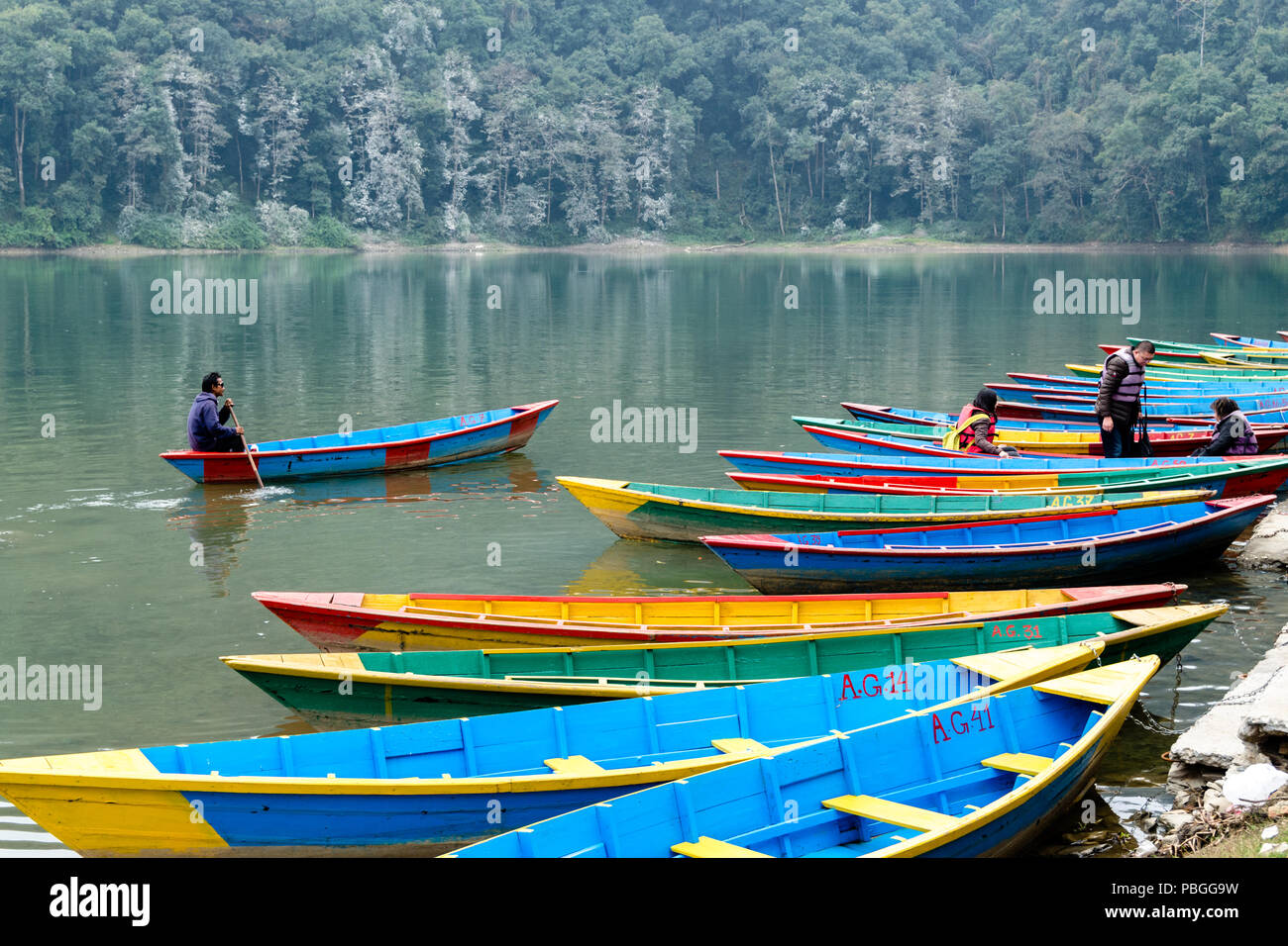 Bateaux colorés au lac Phewa, Pokhara Banque D'Images