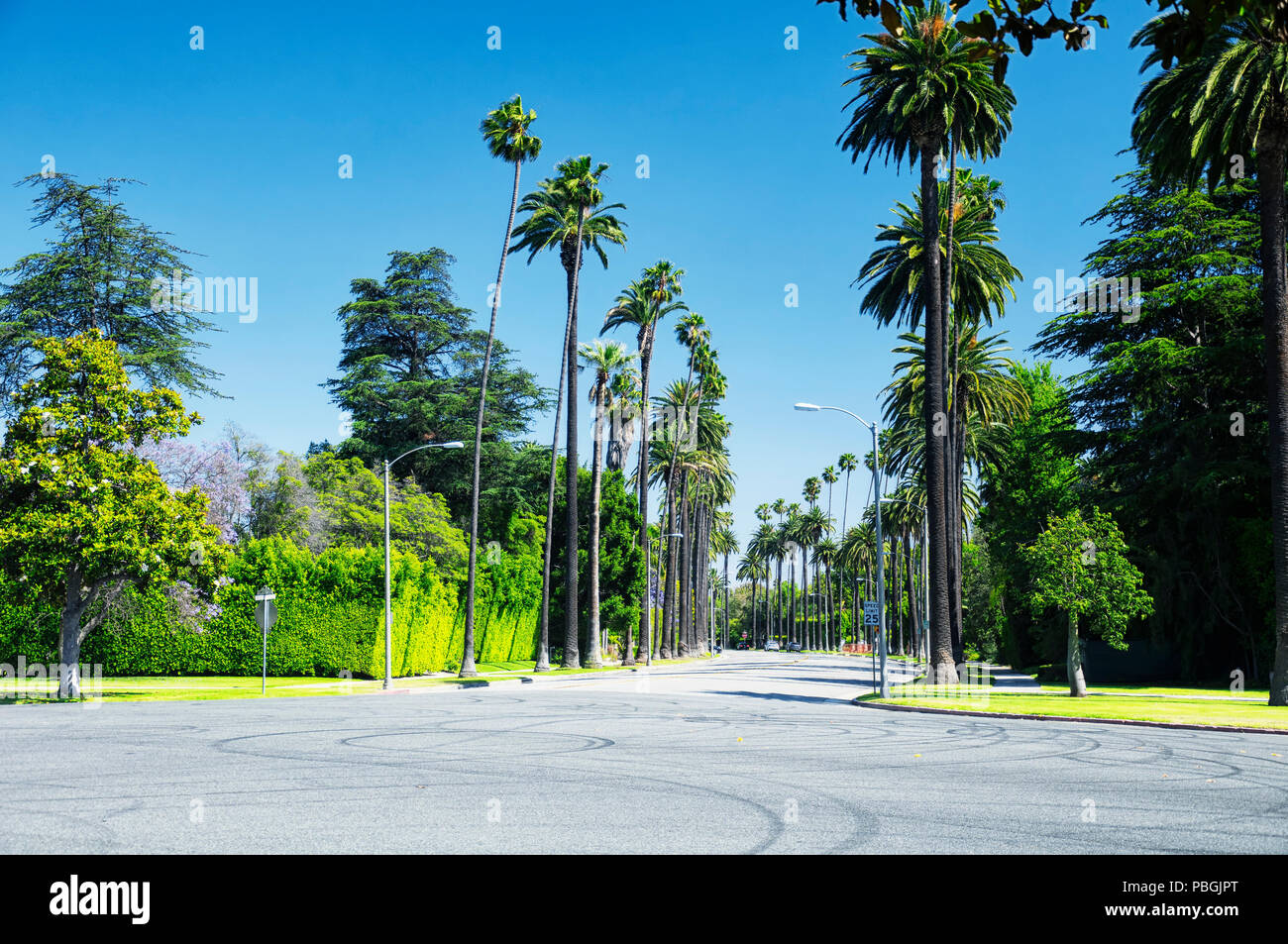 La rue bordée de palmiers de beverly hills, en Californie, lors d'une journée ensoleillée. Banque D'Images