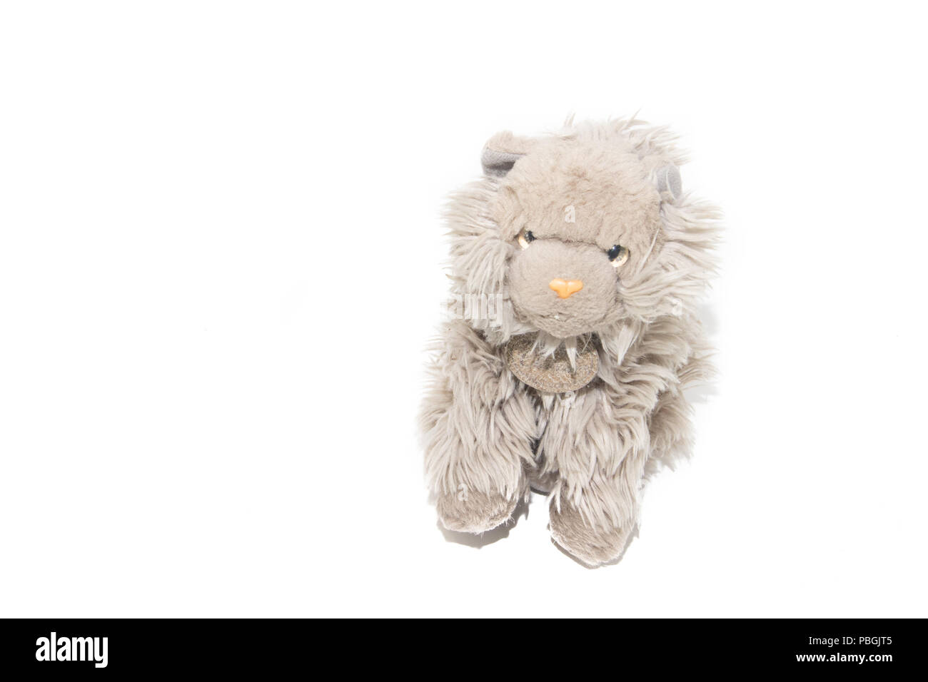 Doudou Chat Sur Un Fond Blanc Jouet Sur Un Fond Blanc Jeux D Enfants Photo Stock Alamy