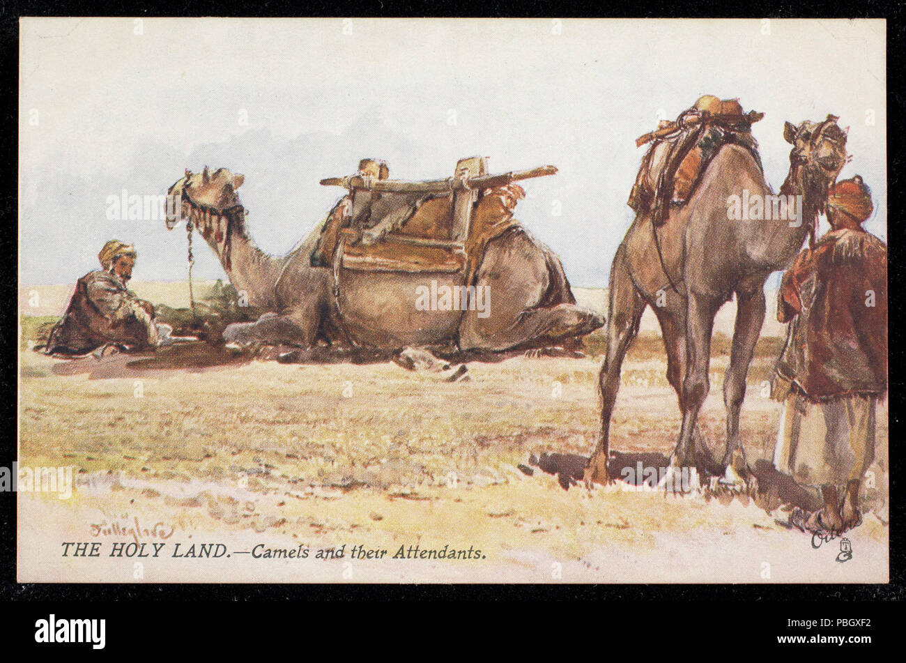 1644 La Terre Sainte.--les chameaux et leur accompagnateur (NPAR) 439899 Banque D'Images