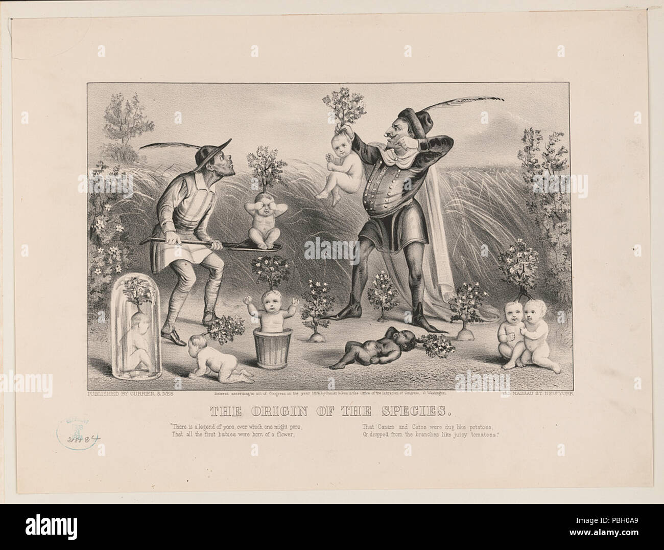 1663 l'origine de l'espèce RCAC2001700383 Banque D'Images