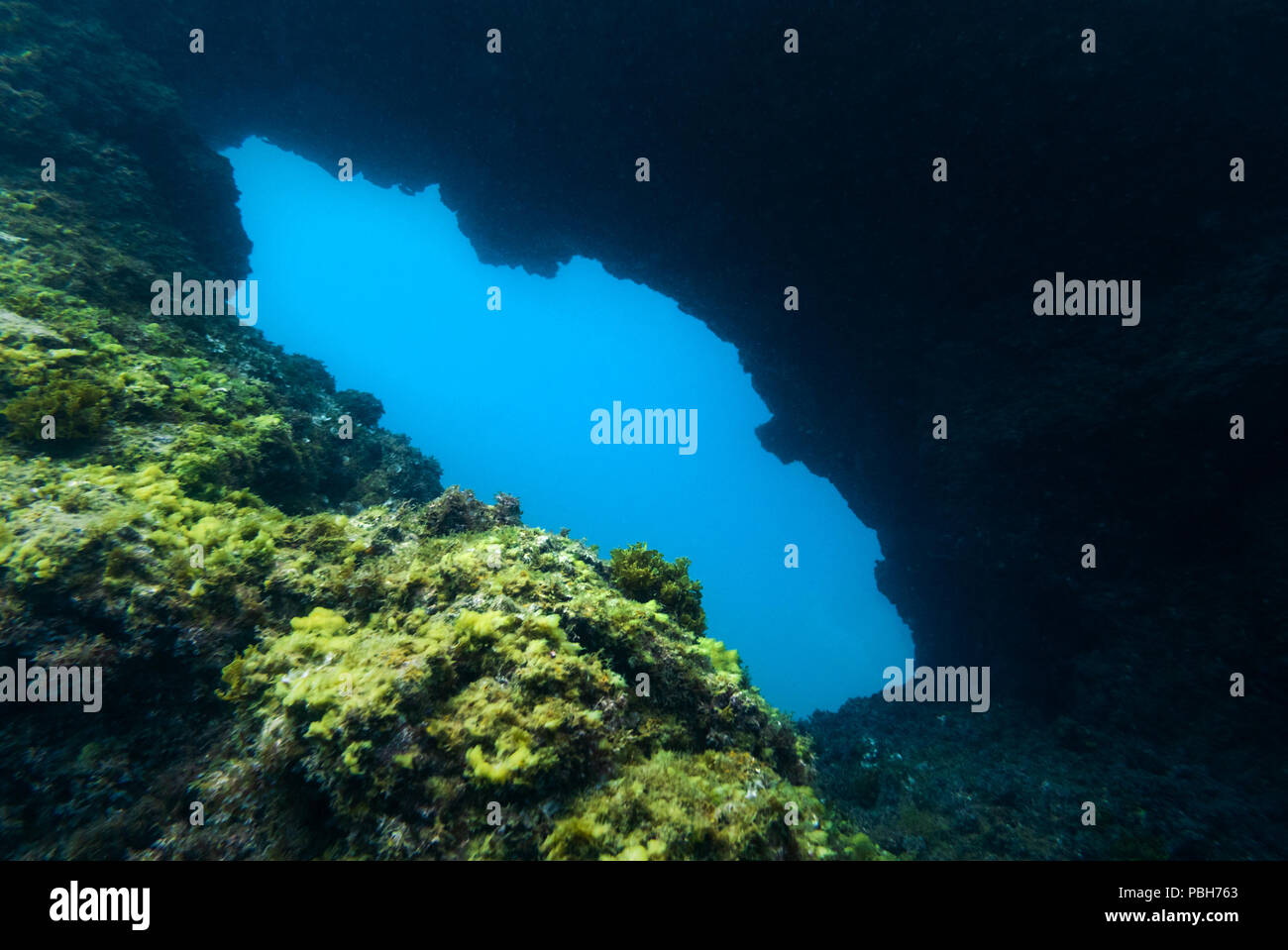 Les roches sous-marines et de grottes. Arrière-plan de la vie aquatique. Banque D'Images