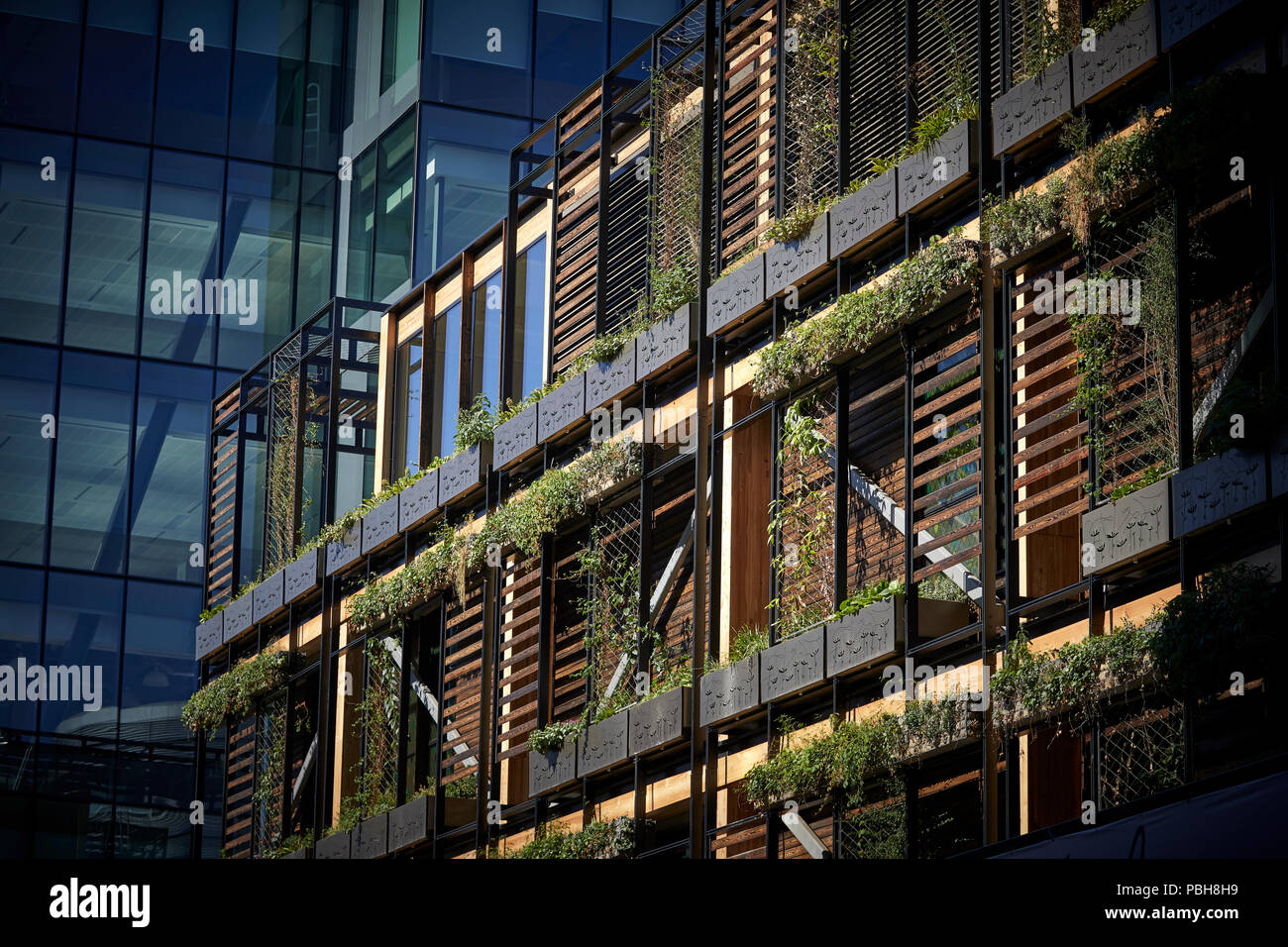 Le centre-ville de Manchester Spinningfields Le domaine, une nouvelle 'oasis urbaine' Allied London dans Hardman Square quatre étages Le Restaurant Ivy Banque D'Images