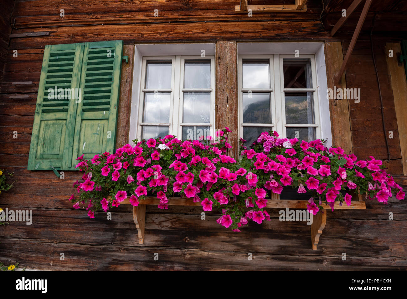 Des fleurs colorées dans les jardinières sur une alpine chalet au village de montagne Mürren, Jungfrau, Alpes Suisse, Oberland Bernois Banque D'Images