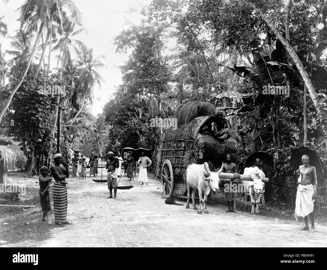 Les gens sur une route à travers la végétation luxuriante, également un chariot tiré par deux boeufs, et un homme avec palanche 1880-1920 (peut-être Ceylan) Banque D'Images