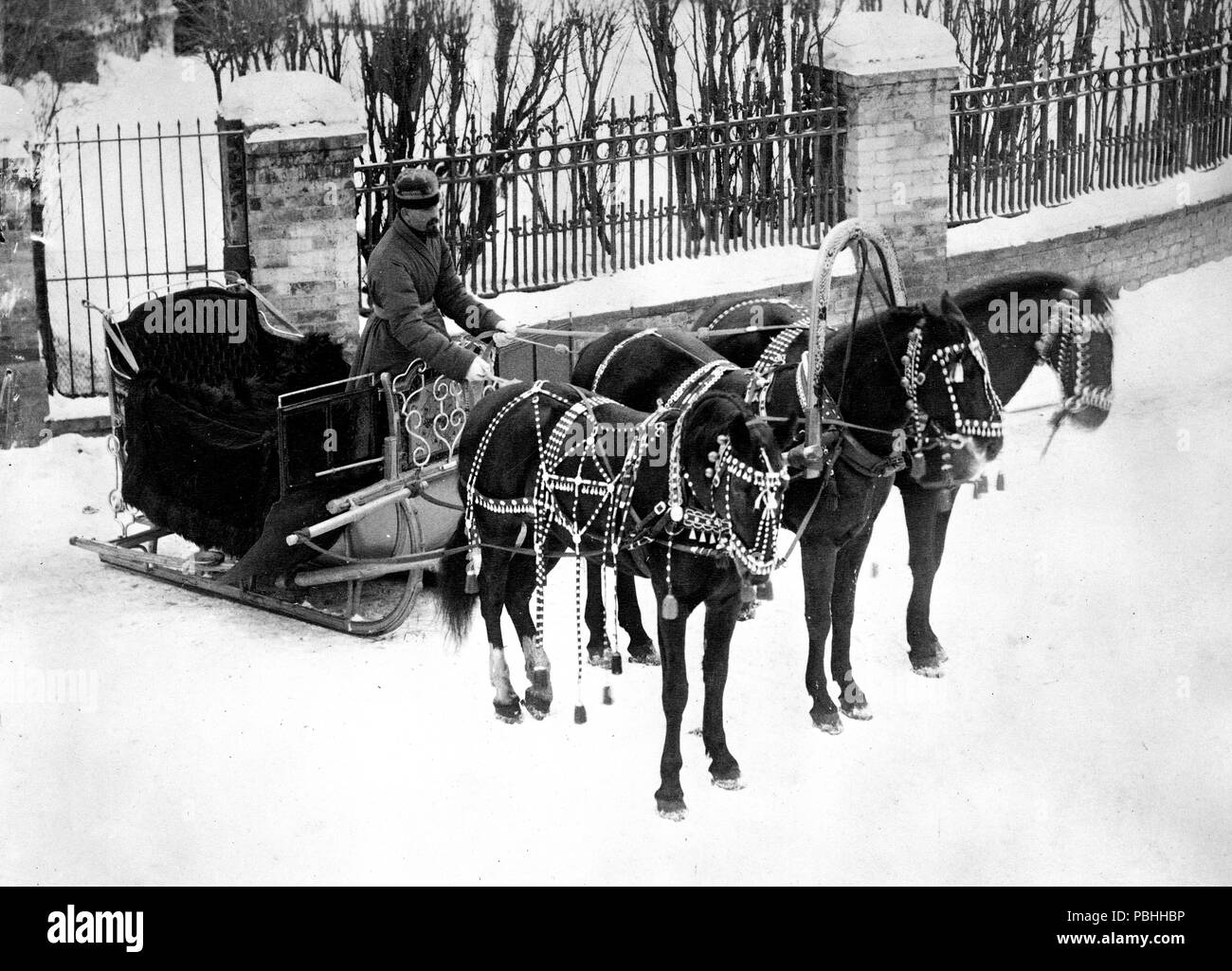 La photo montre un homme debout, dans un traîneau troïka, tenant le rein attaché à une équipe de trois chevaux. 1900-1923 Banque D'Images