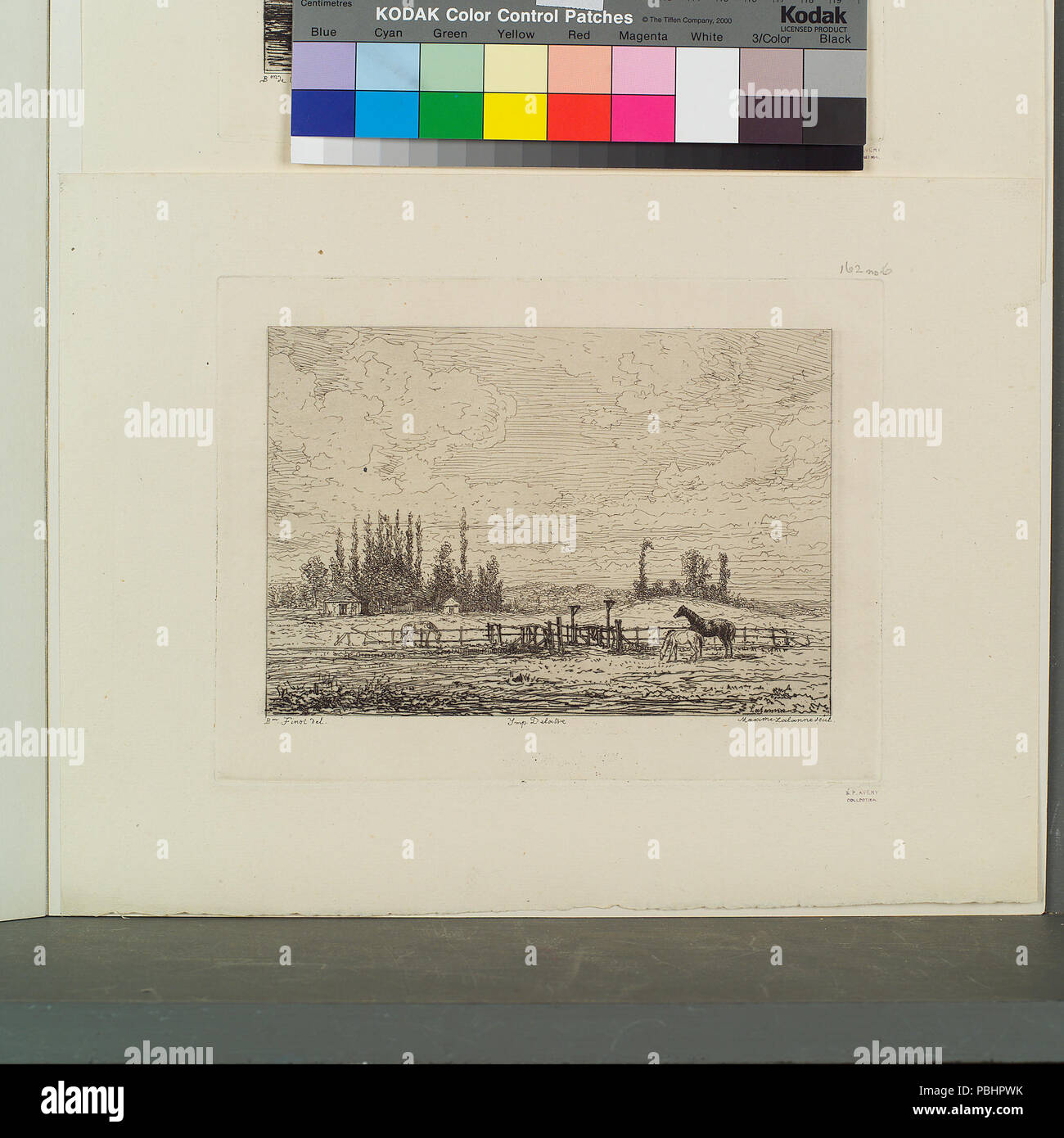 1744 Trois chevaux dans un champ (NYPL b14945260 ps-cd09) 129 prn Banque D'Images