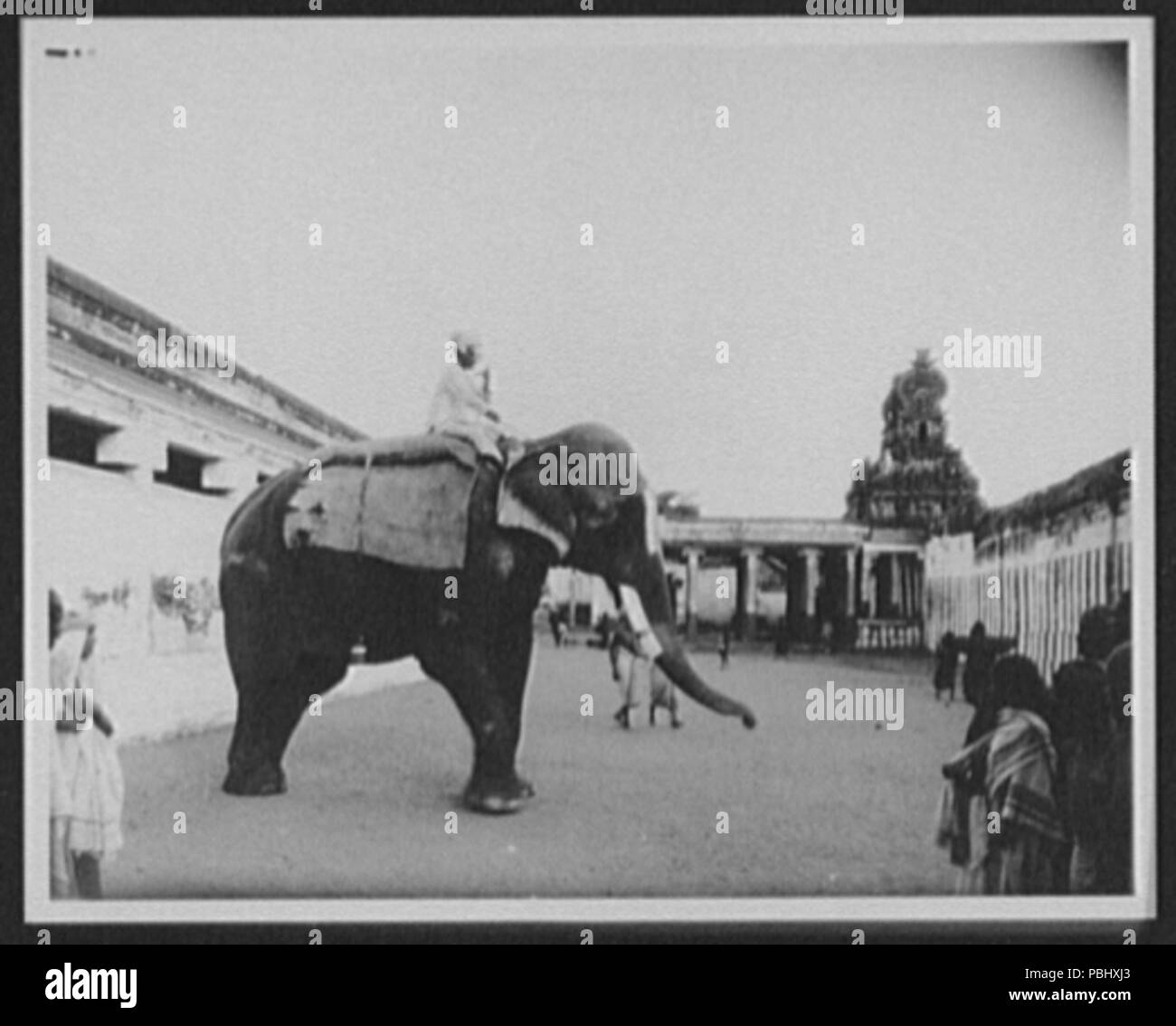 1773 Trichinopoly - l'un des éléphants du temple avant la quatrième porte,  Srirangam RCAC2004707330 Photo Stock - Alamy