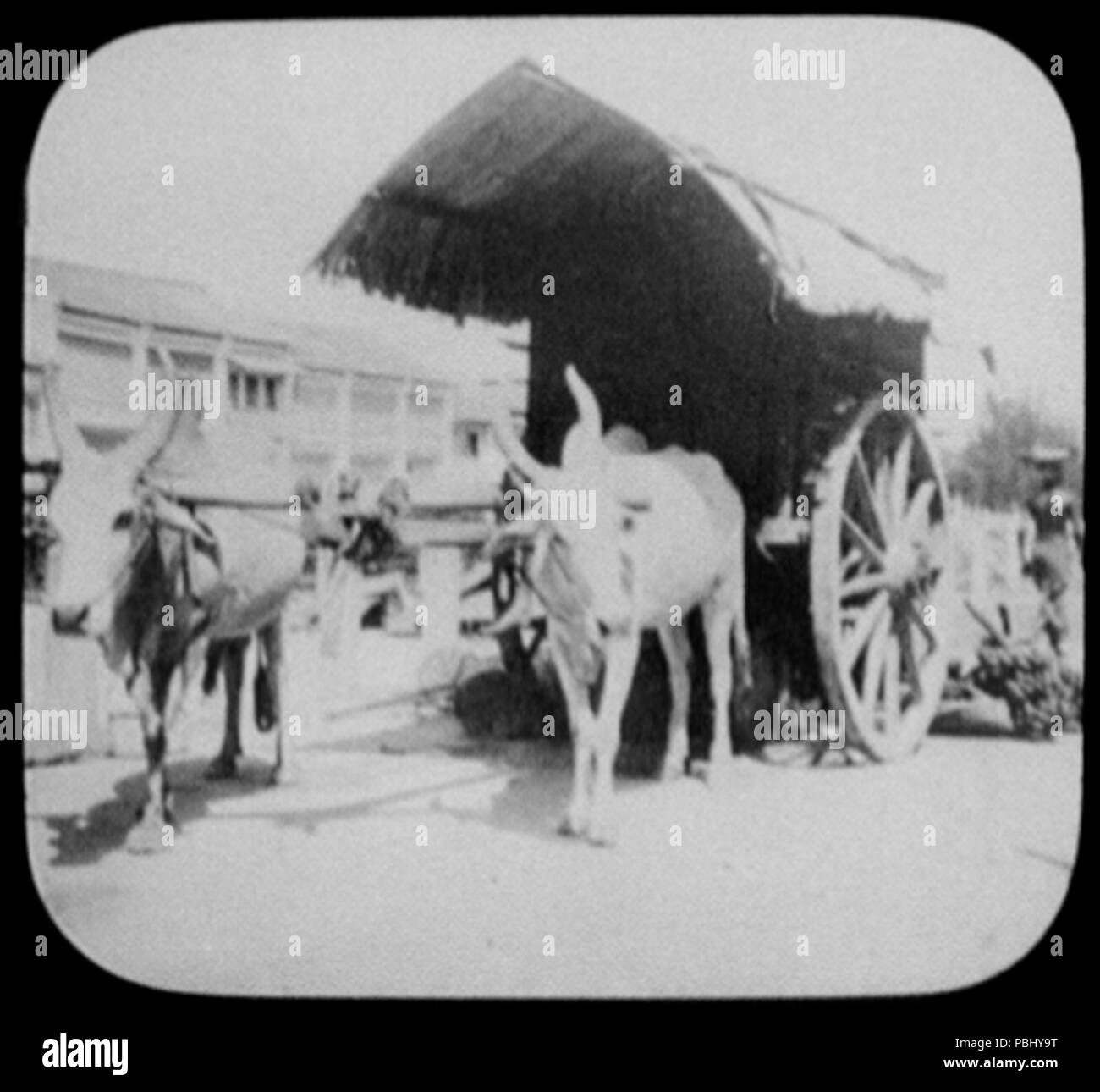 1780 Deux taureaux tirant de grandes roues panier RCAC2004707812 Banque D'Images