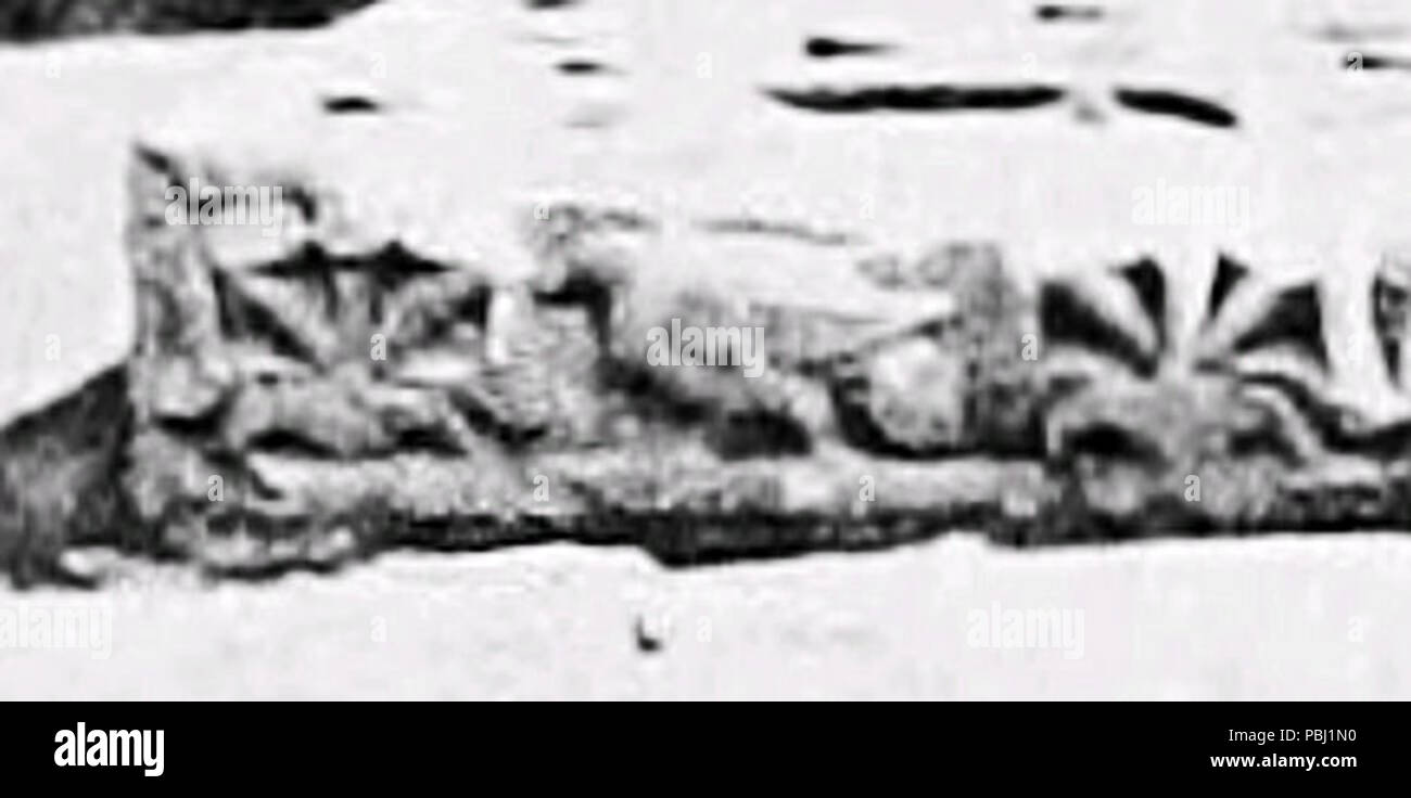 1799 Vajrasana retour détail bande de secours Banque D'Images