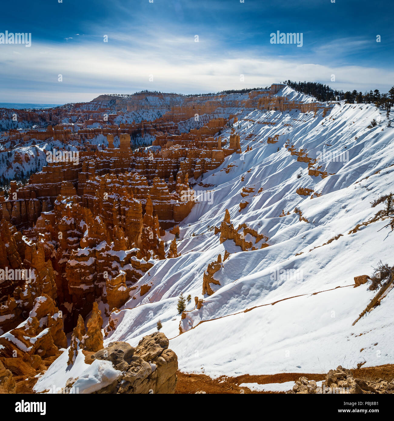 Bryce Canyon Winter Wonderland Banque D'Images