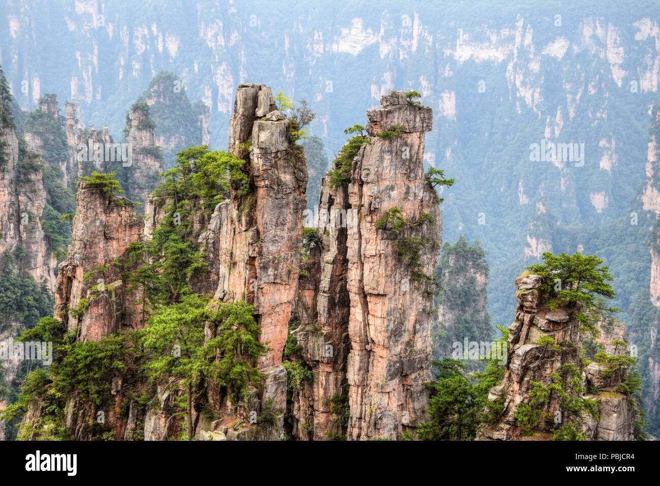 Paysage De Montagne Pittoresque De Zhangjiajie Dans La Province Du Hunan En Chine Ou Le Film Avatar A Ete Filmee Photo Stock Alamy