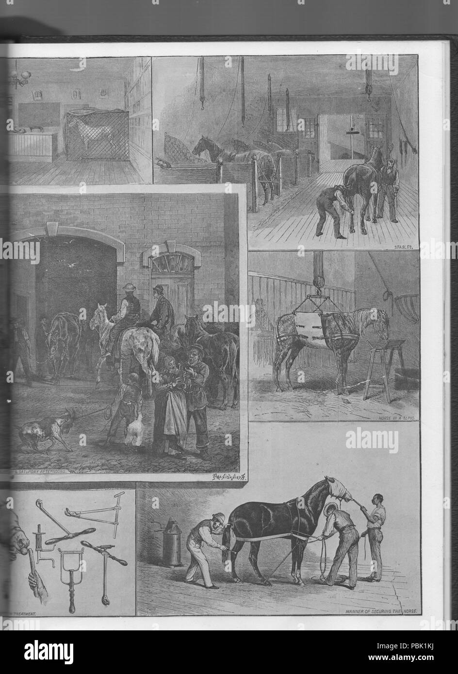 . Anglais : Page 2 scènes dans les cliniques de l'American Veterinary College, à New York City, vers 1880. L'hôpital et le collège étaient privés et la propriété de Alexandre Liautard, vétérinaire praticien et enseignant français : Page 2 : Scènes de la clinique de l'American Veterinary College, dans la ville de New York, vers 1880. L'hôpital et le collège étaient privés et la propriété d'Alexandre Liautard, enseignant et praticien vétérinaire. circa 1880 918 Liautard Animal Hospital New York 2 Banque D'Images