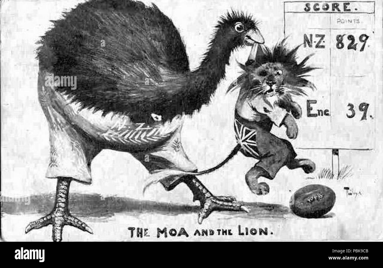 1052 illustration lion Moa Banque D'Images