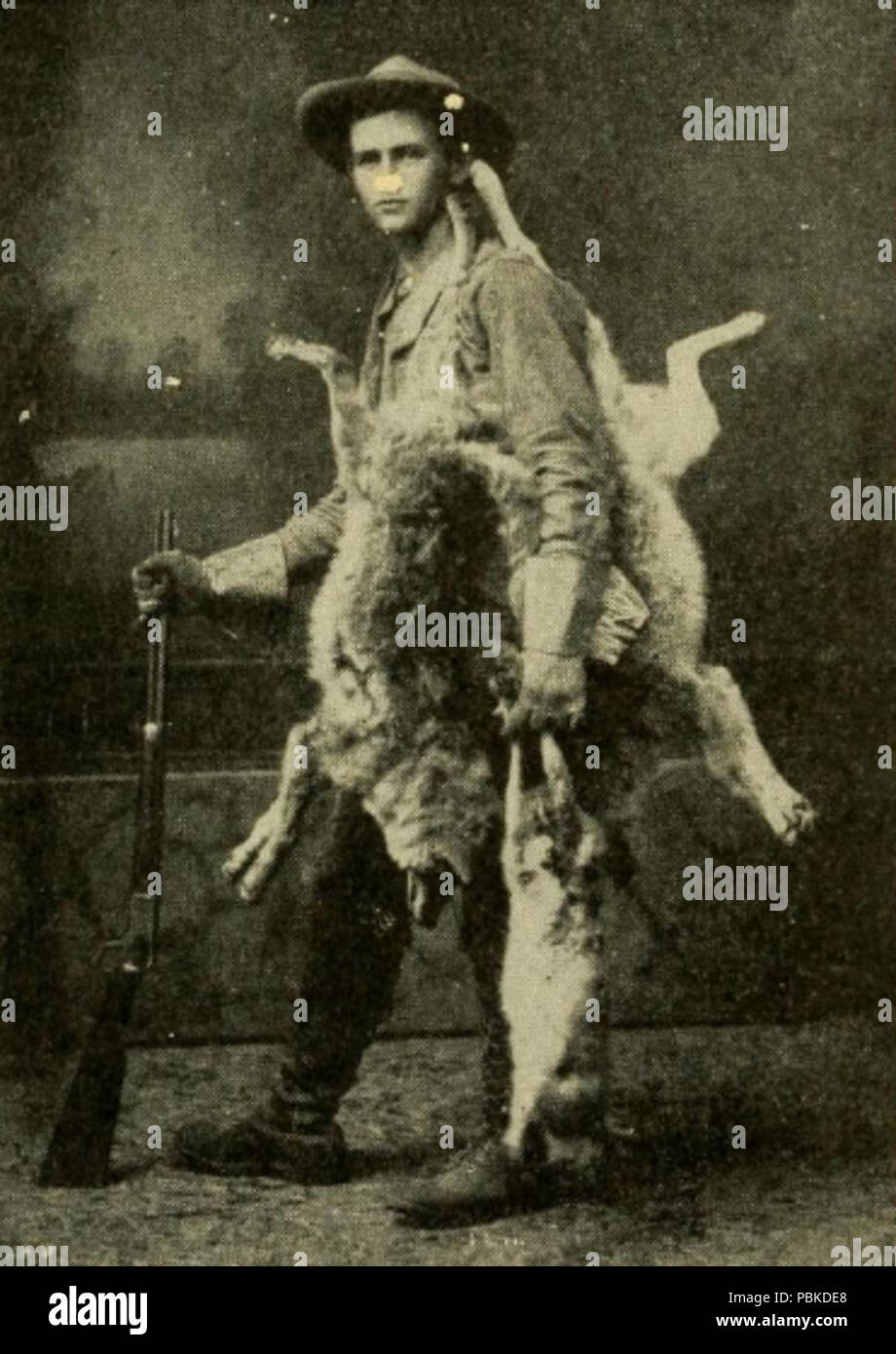 743 Harding (1909) tués par la chasse encore Banque D'Images