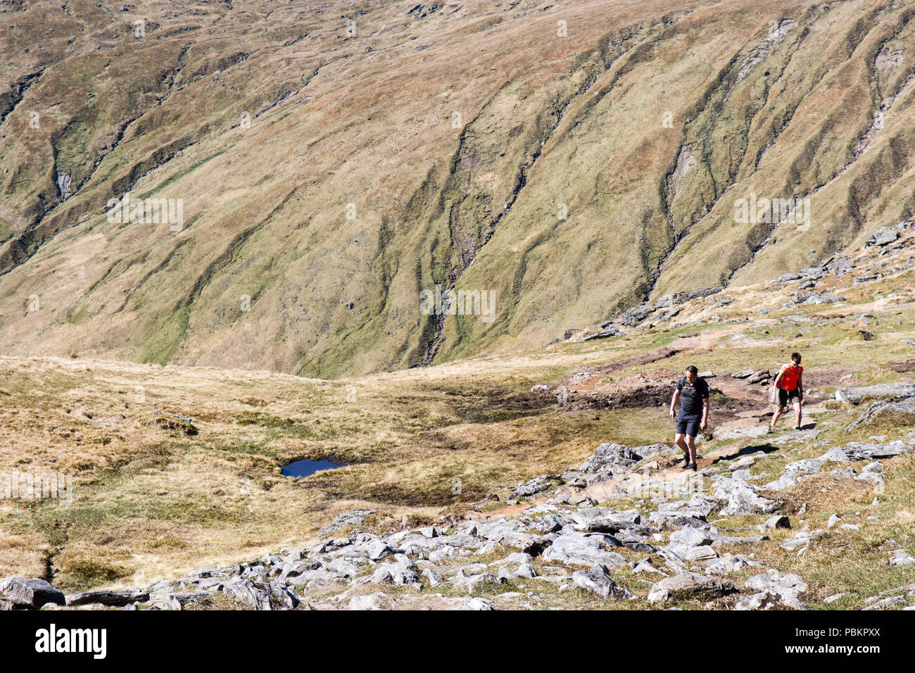 L'Argyll, ÉCOSSE - 14 mai 2016 : Les randonneurs escalader Beinn Artur, "le cordonnier", un populaire pour la marche en montagne dans l'ouest des Highlands d'Écosse. Banque D'Images