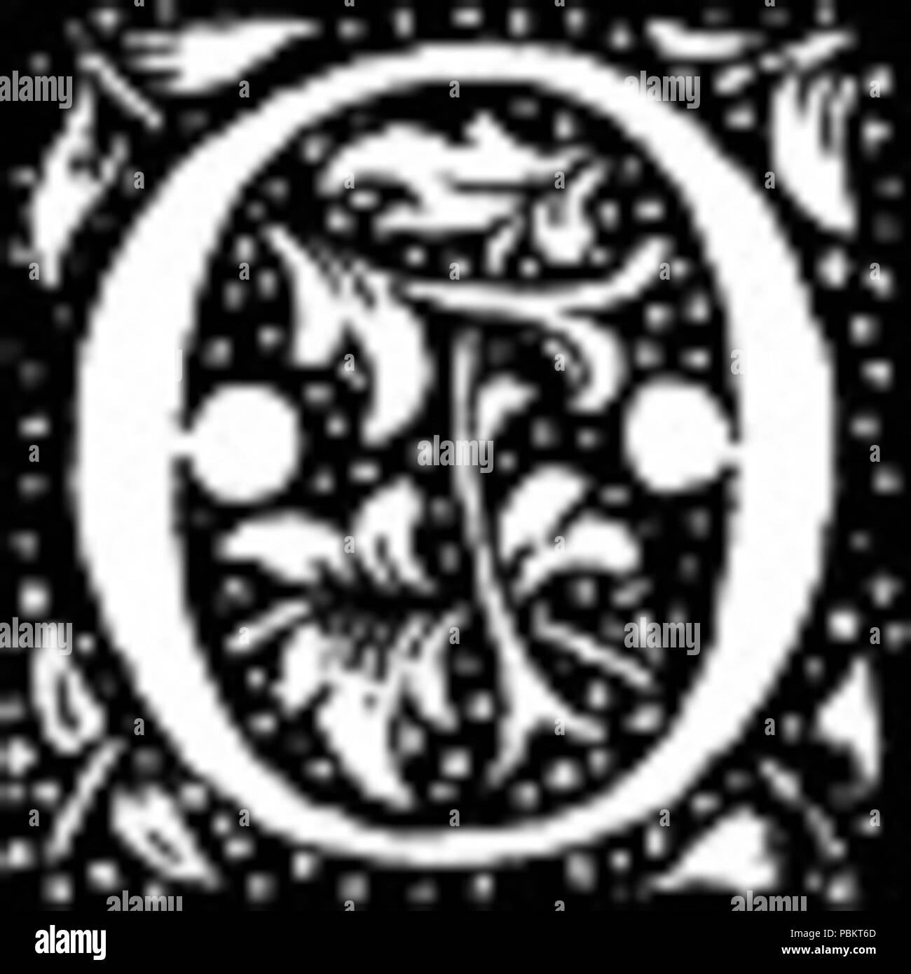 904 Lettre O Droit Banque D'Images