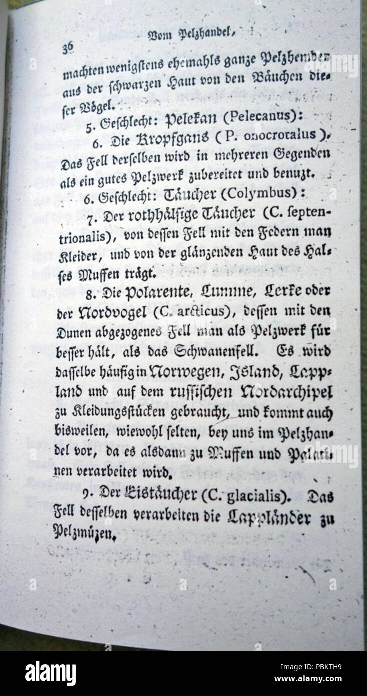 Pelzhandel insonderheit Abhandlung vom der Britten (D. Le Christ. Wilh. Jakob Gatterer, 1794) - (39). Banque D'Images