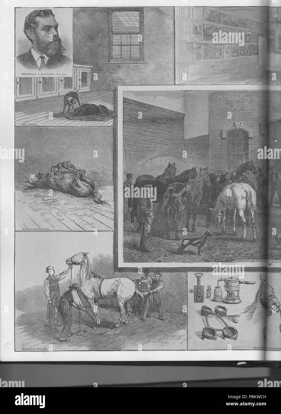 . Anglais : Page 1 scènes dans les cliniques de l'American Veterinary College, à New York City, vers 1880. L'hôpital et le collège étaient privés et la propriété de Alexandre Liautard, vétérinaire praticien et enseignant français : Page 1 : Scènes de la clinique de l'American Veterinary College, dans la ville de New York, vers 1880. L'hôpital et le collège étaient privés et la propriété d'Alexandre Liautard, enseignant et praticien vétérinaire, figuré en haut à gauche. circa 1880 918 Liautard Animal Hospital New York1 Banque D'Images