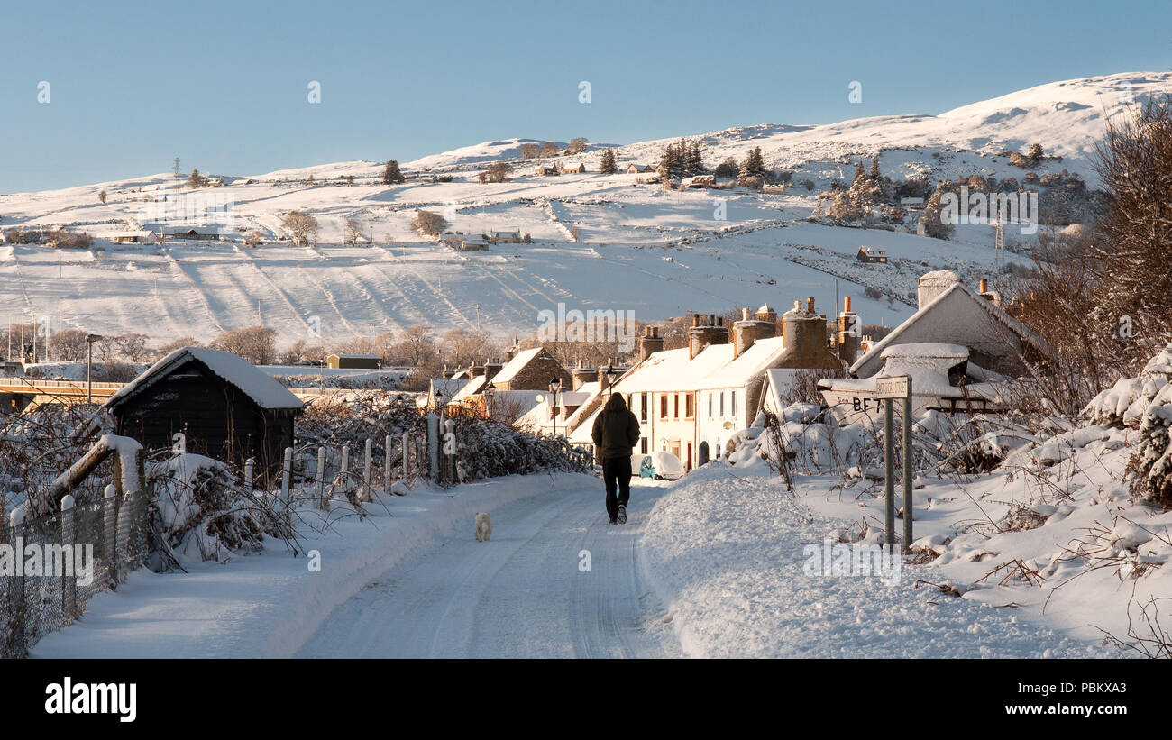 Helmsdale, Scotland, UK - 2 décembre 2010 : une personne marche leur chien au moyen de neige de l'hiver à terre Street dans le village de Helmsdale dans les Highlands Banque D'Images