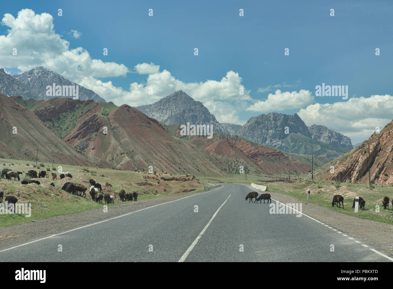 Décor en route vers la route du Pamir, Sary Tash, Kirghizistan Banque D'Images