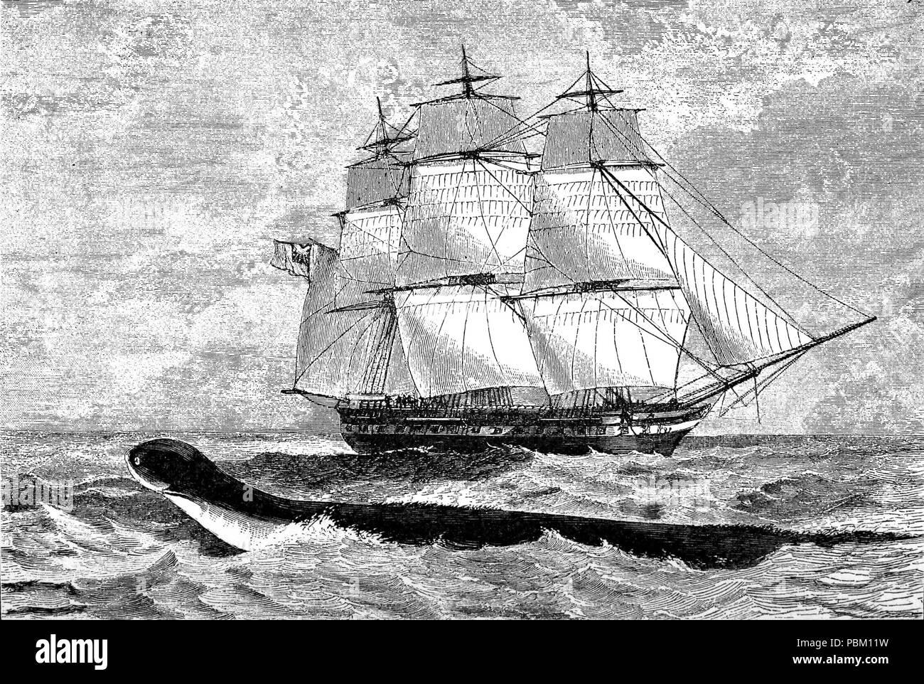 762 HMS Daedalus avec serpent de mer Banque D'Images