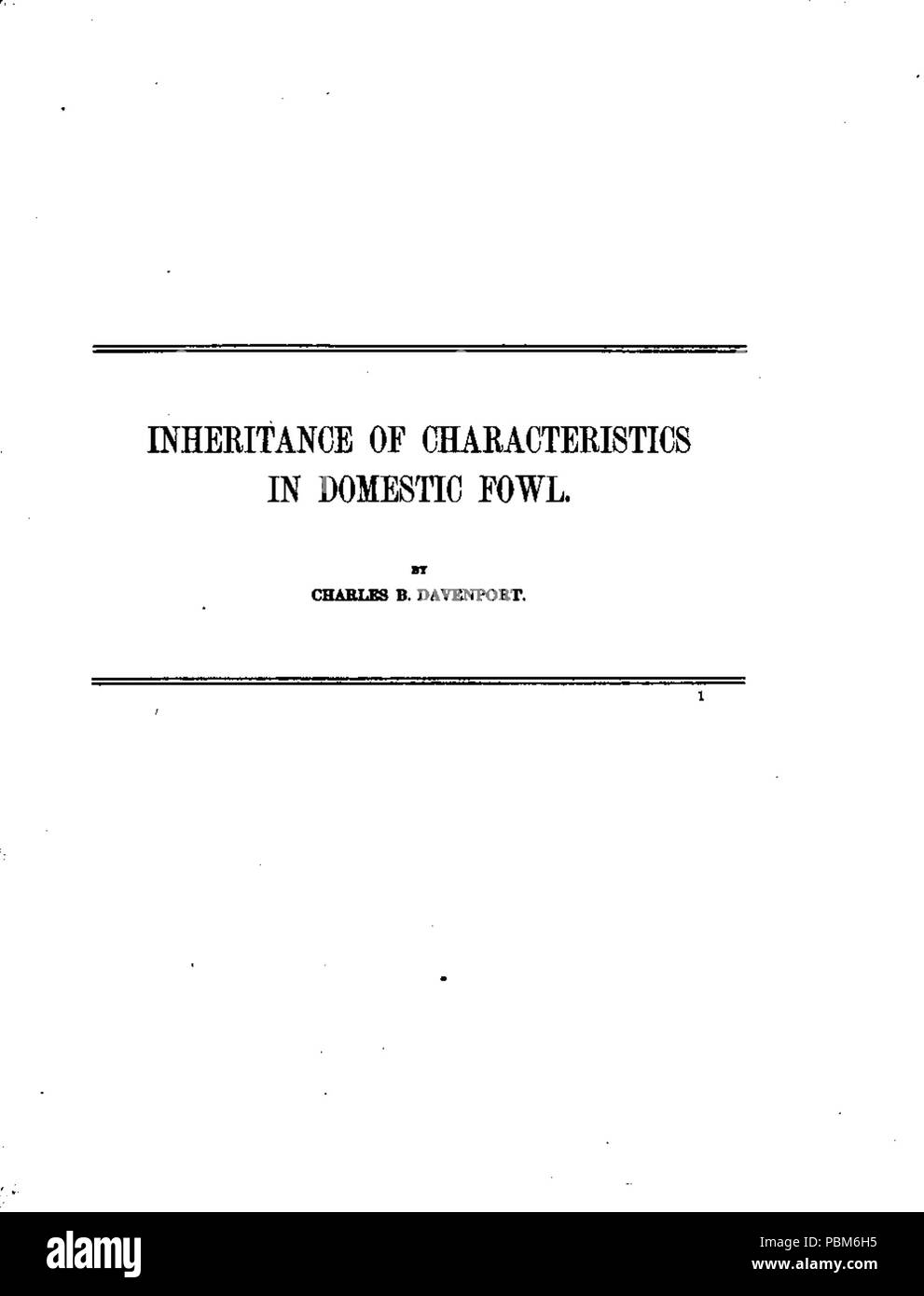 803 l'héritage des caractéristiques dans les volailles domestiques (005) Banque D'Images