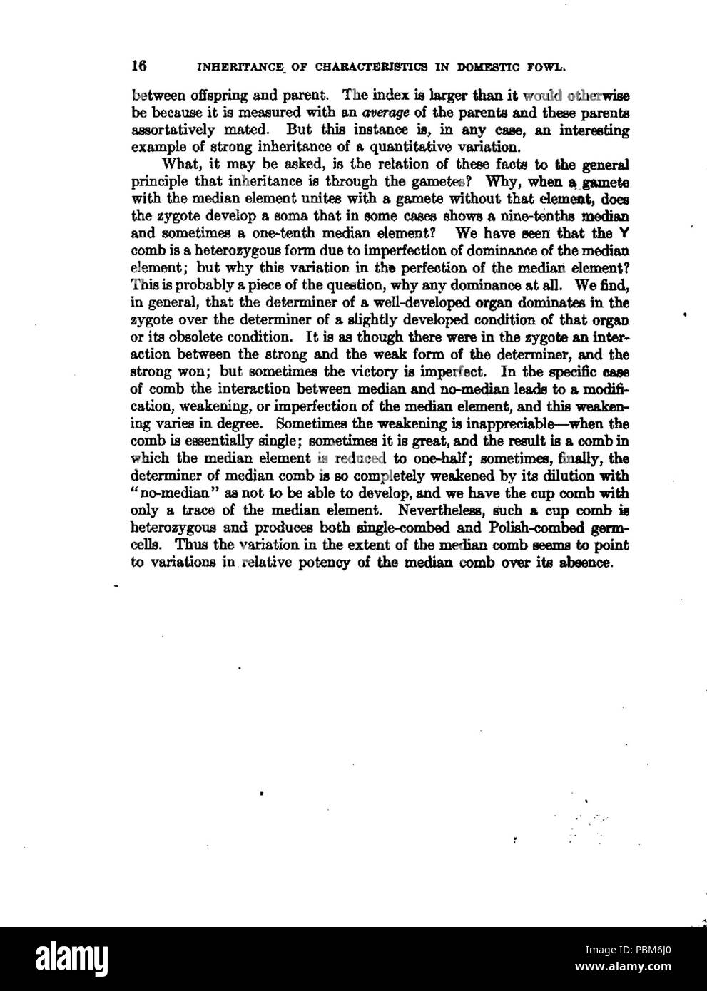 803 l'héritage des caractéristiques dans les volailles domestiques (020) Banque D'Images