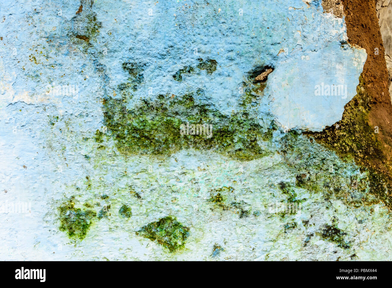 Close-up of rustic, mur extérieur en Amérique centrale Banque D'Images