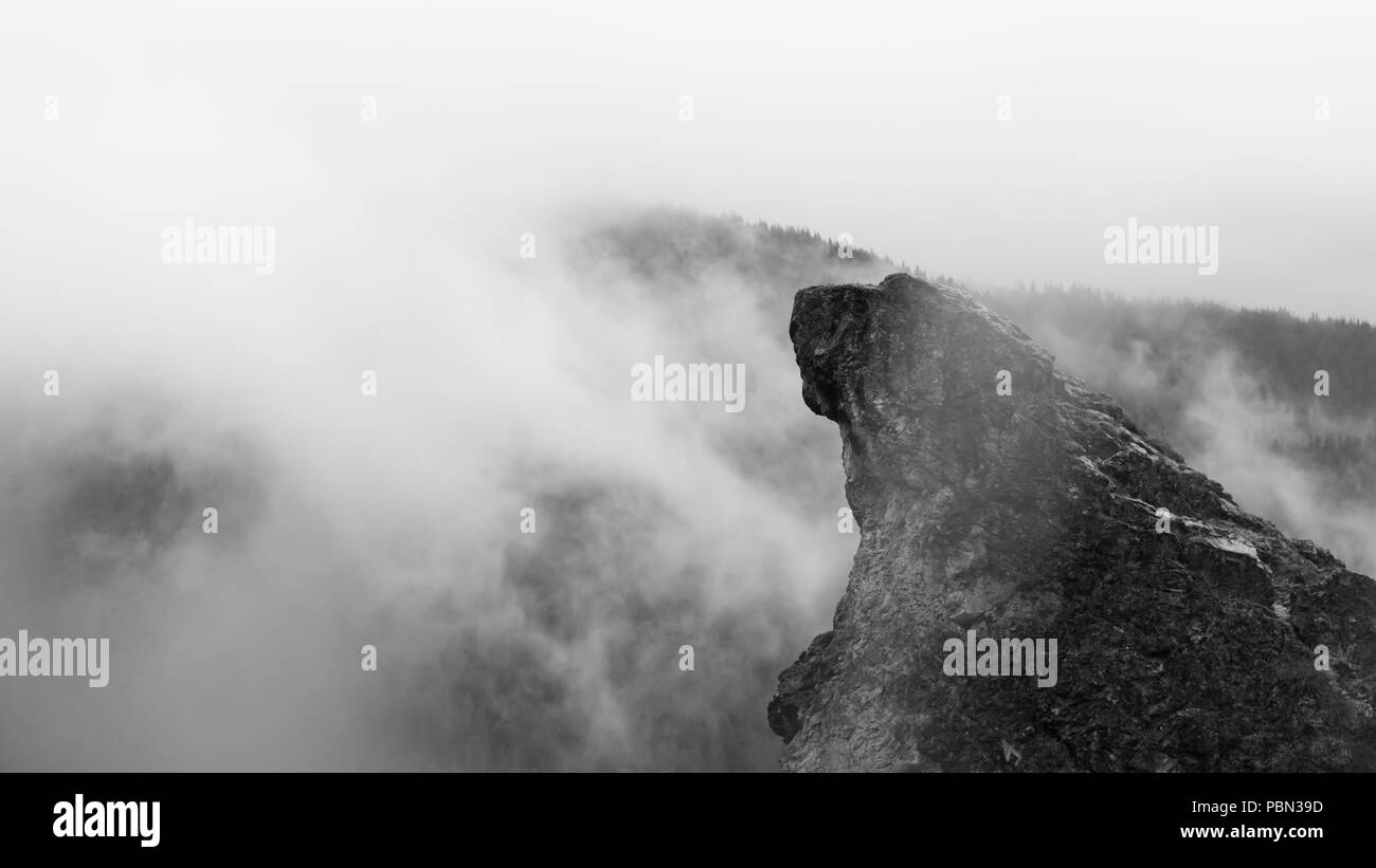 Le lion dans la pierre Banque D'Images
