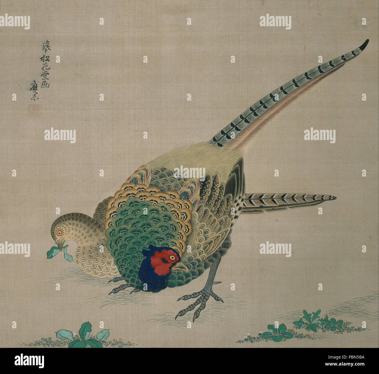 1002 Maruyama Okyo - Hanging Scroll (paire de faisans) - Banque D'Images