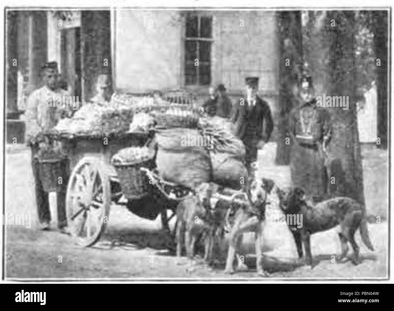 Maury 1008 104 Géographie de l'équipe d'un chien Banque D'Images